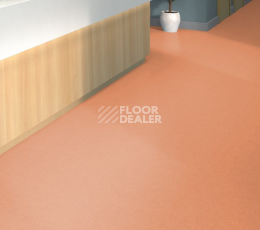 Tarkett iq Melodia 2635 фото 2 | FLOORDEALER